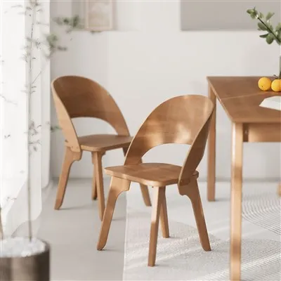 Esszimmerstühle aus Holzmöbeln